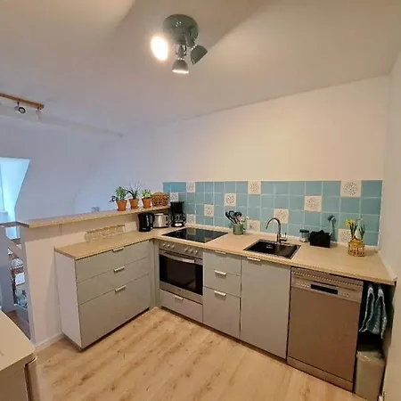 Ellerholz Am Mueritz Nationalpark *