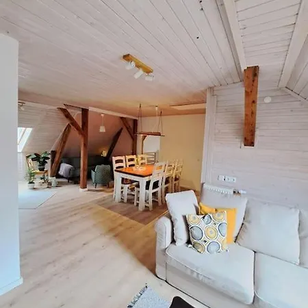 Ellerholz Am Mueritz Nationalpark