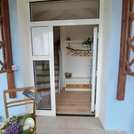 Ellerholz Am Mueritz Nationalpark Rechlin