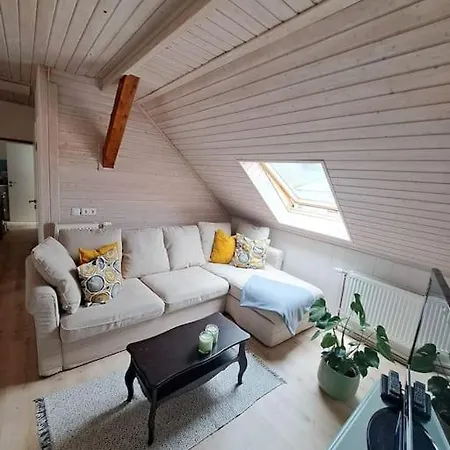 Ellerholz Am Mueritz Nationalpark Appartement