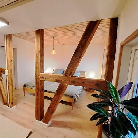 Ellerholz Am Mueritz Nationalpark