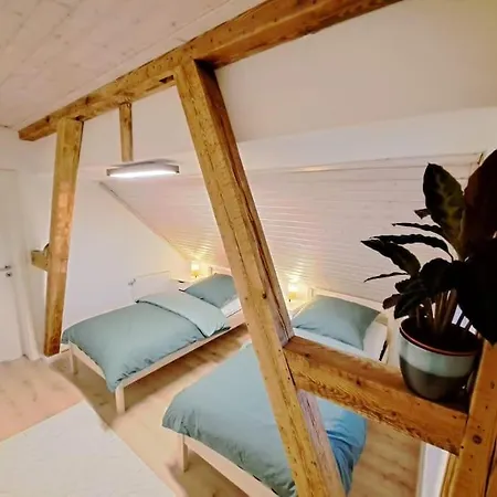 Ellerholz Am Mueritz Nationalpark Rechlin