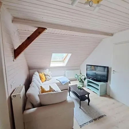 Ellerholz Am Mueritz Nationalpark *