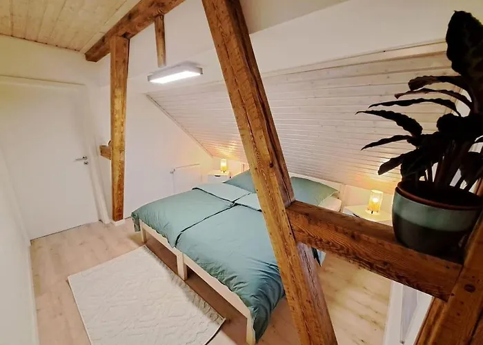 Ellerholz Am Mueritz Nationalpark شقة *
